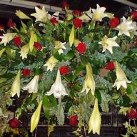 Trauerfloristik Sargschmuck