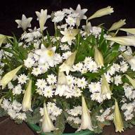 Trauerfloristik Sargschmuck