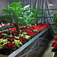 Adventsausstellung 2010