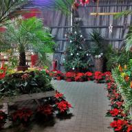 Adventsausstellung 2010