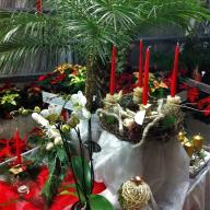 Adventsausstellung 2011