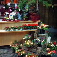 Adventsausstellung 2011