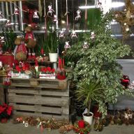 Adventsausstellung 2014