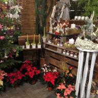 Adventsausstellung 2014