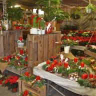 Adventsausstellung 2015