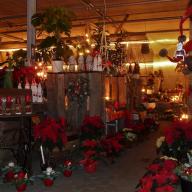 Adventsausstellung 2015