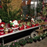 Adventsausstellung 2016