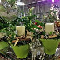 Adventsausstellung 2016